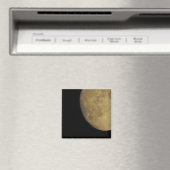 ムーンマグネット マグネット (インサイチュ (食洗機))