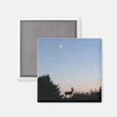 ムーンライズ魔法磁石 マグネット (正面/裏面)