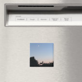 ムーンライズ魔法磁石 マグネット (インサイチュ (食洗機))