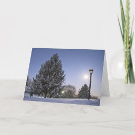 ムーンライズ シーズンカード