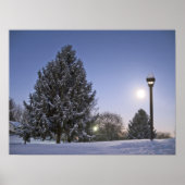 ムーンライズ ポスター (正面)