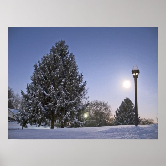 ムーンライズ ポスター (正面)