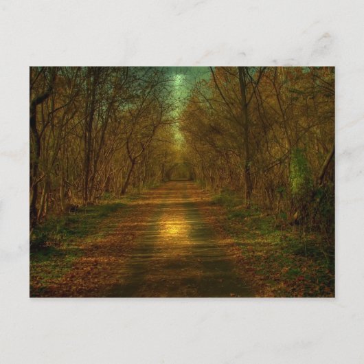 ムーンライトウォークリンチバーグシティトレイル ポストカード (正面)