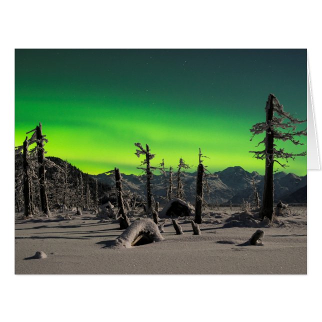 ムーンライトオーロラ (正面横)