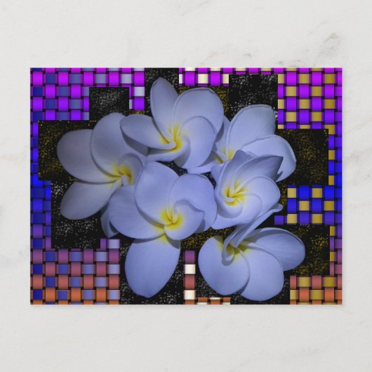 ムーンライトスターダスプルメリア編み ポストカード (正面)