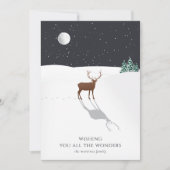 ムーンライトトナカイ雪 (正面)