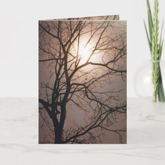 ムーンライトドリーム カード (正面)