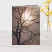 ムーンライトドリーム カード (黄色い花)