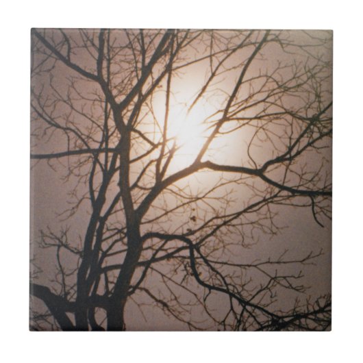 ムーンライトドリーム タイル (正面)