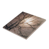 ムーンライトドリーム タイル (側面)