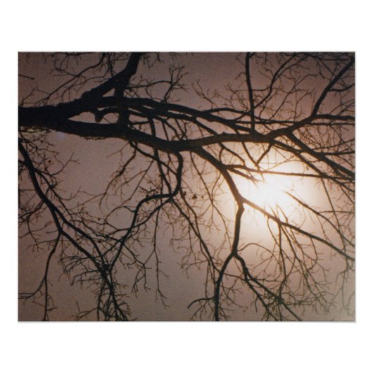 ムーンライトドリーム ポスター (正面)