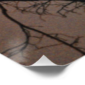 ムーンライトドリーム ポスター (コーナー)