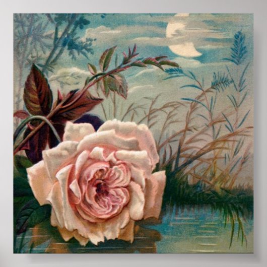 ムーンライトバラセレナーデポスター ポスター (正面)