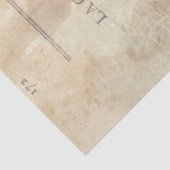 ムーンライトフクロウデクページティッシュペーパー 薄葉紙 (詳細)