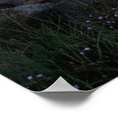 ムーンライトホワイトポイントビーチ素晴らしアートプリント ポスター (角)