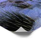 ムーンライトユッカ ポスター (角)