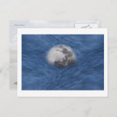 ムーンリバー ポストカード (正面/裏面)