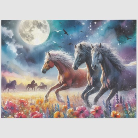 ムーンレーサー 薄葉紙 (正面)