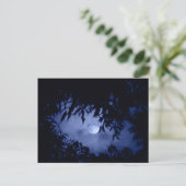 ムーンロー ポストカード (スタンド正面)