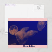 ムーン・ジェリーズ ポストカード (正面/裏面)