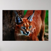 ムー語 ポスター (正面)