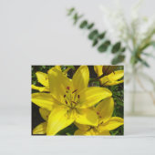 メアケルクガーデンズ ポストカード (スタンド正面)