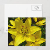 メアケルクガーデンズ ポストカード (正面/裏面)