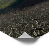 メアリーの岩からの眺め ポスター (角)