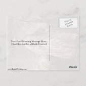 メアリー伯爵夫人ハウバイトーマスゲインズボロ ポストカード (裏面)