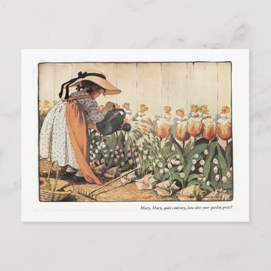 メアリー、かなり反対の子供部屋韻はがき ポストカード (正面)