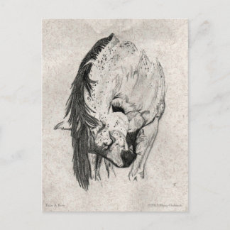 メアリー・グビッシュに一礼する ポストカード