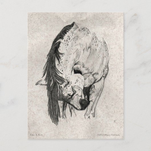 メアリー・グビッシュに一礼する ポストカード (正面)