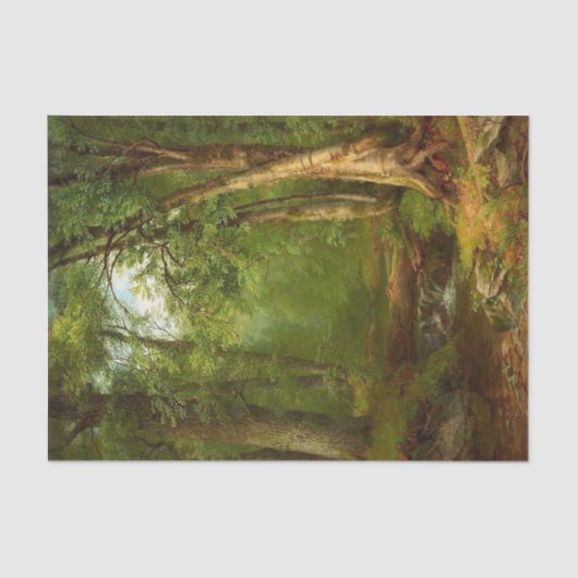 メアリー・ジョセフィン・ウォルターズによる森の中 薄葉紙 (正面)