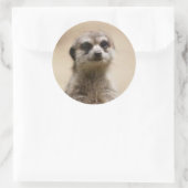 メアーカ ラウンドシール (バッグ)