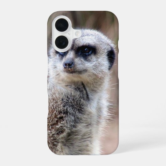 メアーカ iPhone 16ケース (裏面)