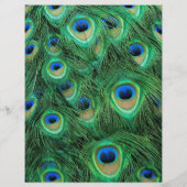 メイクアップ&ヘア用孔雀の羽サロン チラシ (裏面)