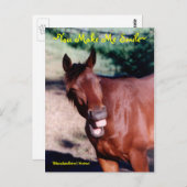 メイクミースマイル馬はがき ポストカード (正面/裏面)