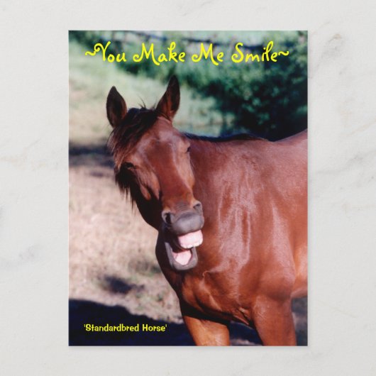メイクミースマイル馬はがき ポストカード (正面)