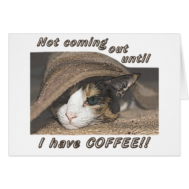 メイシーもコーヒーが欲しい (正面横)