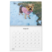 メイジー暦II (2022スタイル) カレンダー (3月 2026)