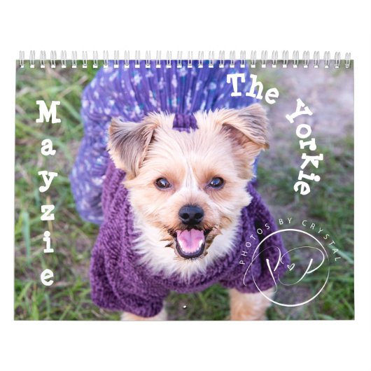 メイジー暦II (2022スタイル) カレンダー (カバー)