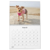 メイジー暦VI (2025スタイル) カレンダー (3月 2027)