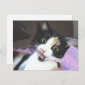 メイジー ポストカード (正面/裏面)