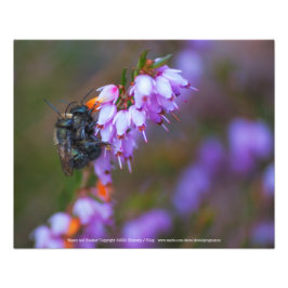 メイスンとヘザー フォトプリント           