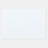 メイスンジャースブルーホワイト花模様グリーンリー ラッピングペーパーシート (正面3)
