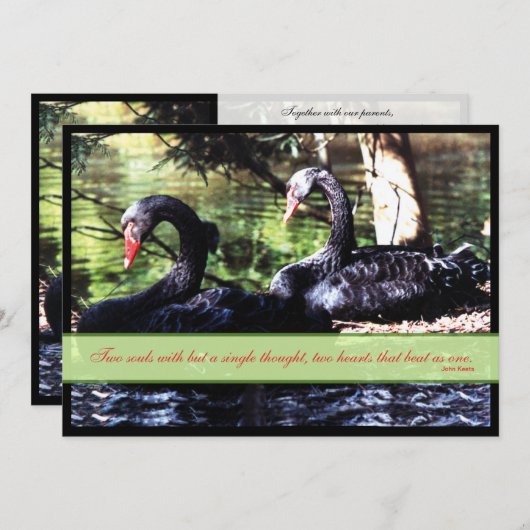 メイツフォーライフブラックスワンス結婚式招待状 招待状 (正面/裏面)