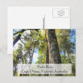 メイツ・レスト原生林ウォーク ケープ・オトウェイ ビクトリア州 オーストラリア ポストカード (正面/裏面)