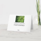 メイデンヘアーシダ父の日カード サンキューカード (裏面)