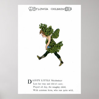 メイデンヘア ポスター