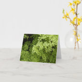 メイデンヘッドフェーン カード (黄色い花)